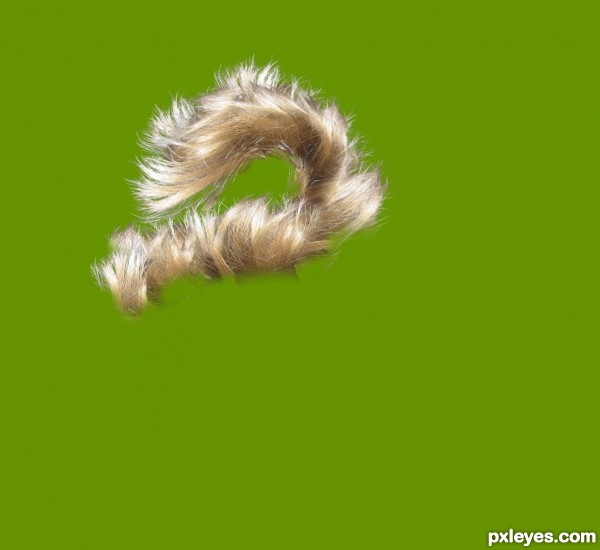 Creation of A Squirrel's "Tale": Step 2